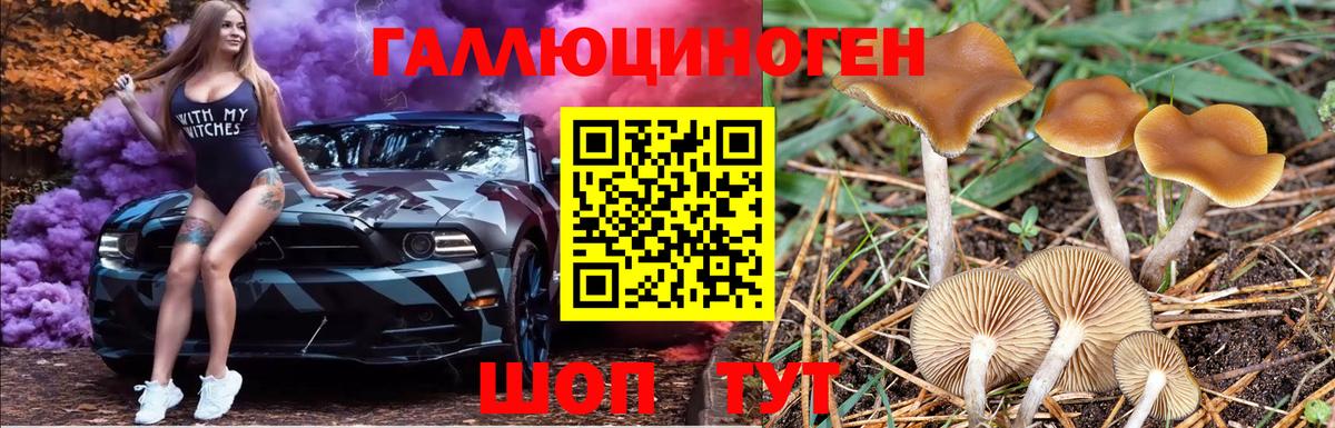 Псилоцибиновые грибы Magic Shrooms Липецк
